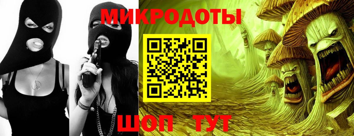 Галлюциногенные грибы Cubensis Астрахань