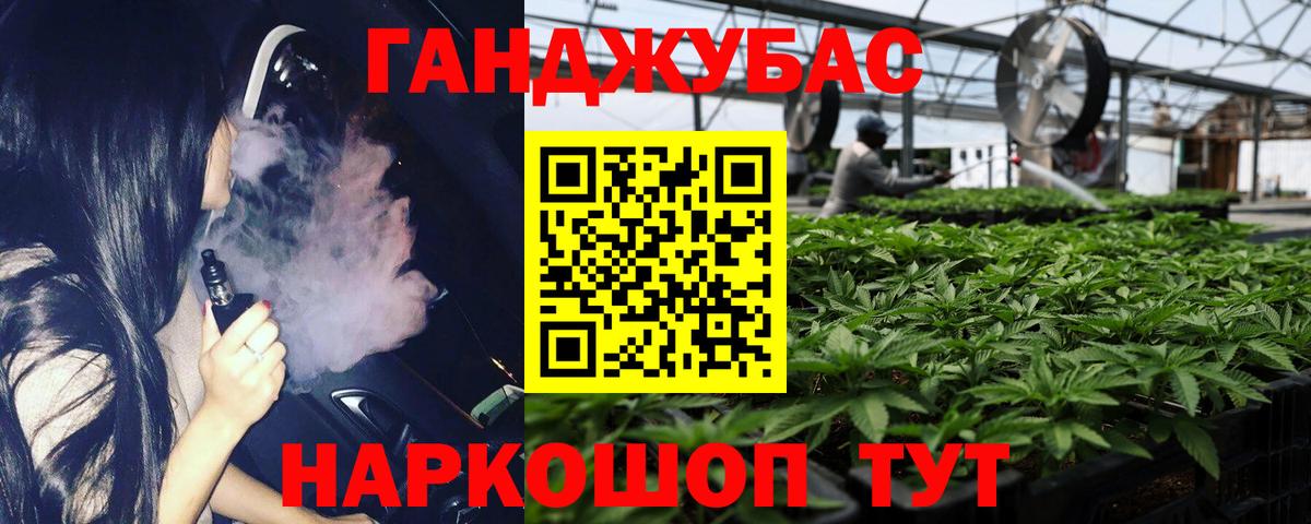 Бошки марихуана план  Шишки марихуана конопля  Бошки Шишки ГИДРОПОН  Астрахань  Вход с VPN 